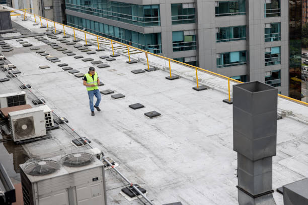 Best Skylight Installation and Repair  in Pumpkin Center, NC