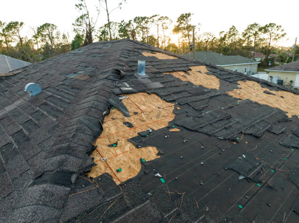 Best Roof Leak Repair  in Pumpkin Center, NC